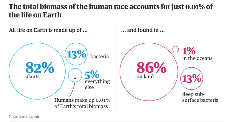 Loài người chiếm 0.01% sự sống và...xóa sạch các sự sống khác - Ảnh 2.