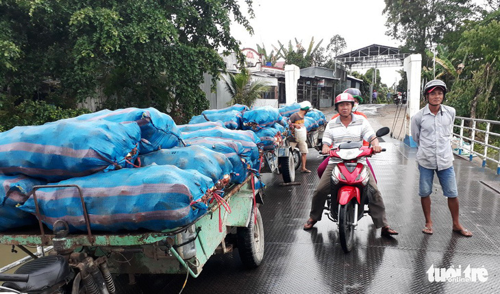 Khoai môn còn 7.000 đồng/kg do Trung Quốc giảm mua - Ảnh 1.