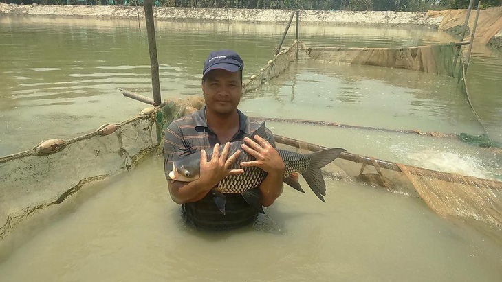 Kiếm bạc tỉ nhờ nuôi cá vua - Ảnh 1.