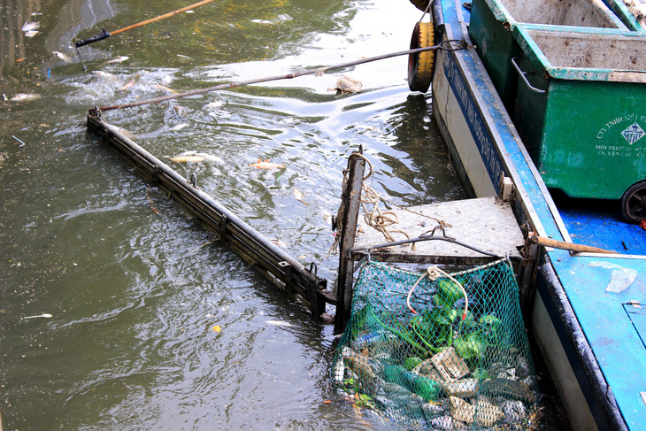 Cá chết nổi nhiều ở kênh Nhiêu Lộc - Thị Nghè - Ảnh 3.