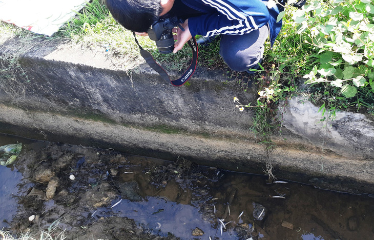 Kiểm tra kênh dẫn nước tìm nguyên nhân cá chết ở Hà Tĩnh - Ảnh 1.