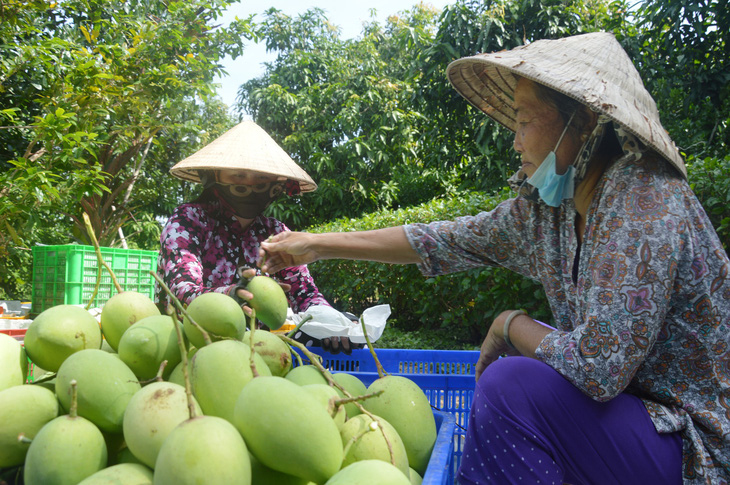 Nông dân đừng trồng mù, bán mù - Ảnh 1.