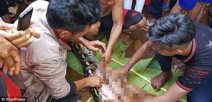 Trăn 7m nuốt chửng một phụ nữ Indonesia - Ảnh 1.