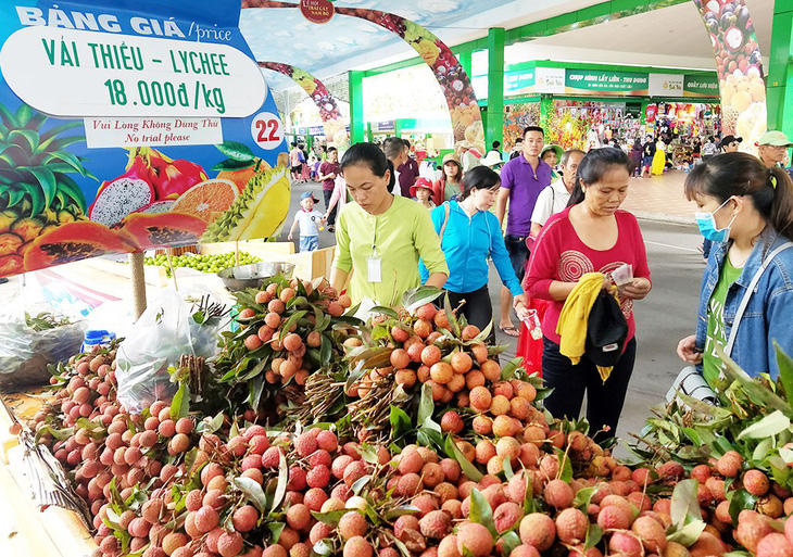 Vải thiều được mùa giá tốt, siêu thị tăng xuất khẩu - Ảnh 1.