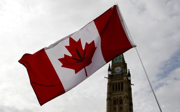 Thượng viện Canada phê chuẩn luật cho dùng cần sa tiêu khiển