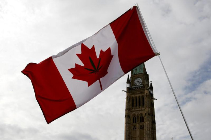 Thượng viện Canada phê chuẩn luật cho dùng cần sa tiêu khiển - Ảnh 1.