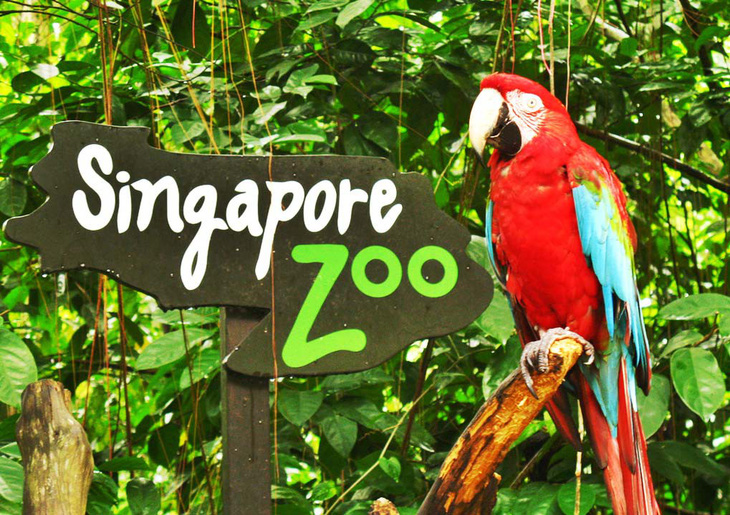 8 vườn thú tuyệt vời ở Đông Nam Á - Ảnh 2.