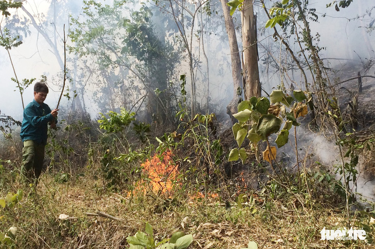 Nghệ An: Cháy rừng thông lây lan ở 3 huyện  - Ảnh 3.