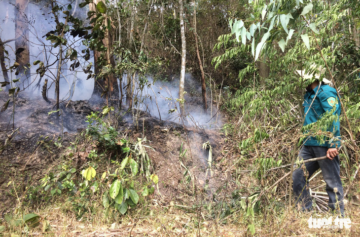 Nghệ An: Cháy rừng thông lây lan ở 3 huyện  - Ảnh 4.