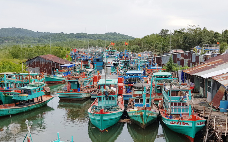 Tàu cá đói lao động - Ảnh 1.