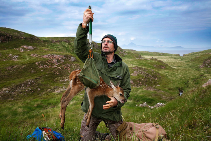 Đến đảo Scotland khám phá sự sống hươu đỏ - Ảnh 10.