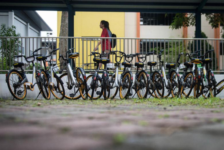 oBike bất ngờ dừng hoạt động, Singapore yêu cầu thu dọn 14 ngàn xe đạp - Ảnh 1.
