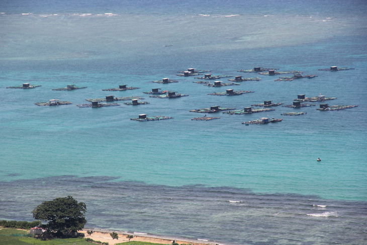 2.000 du khách kẹt ở đảo Lý Sơn, 1.100 tàu cá còn ngoài biển - Ảnh 3.