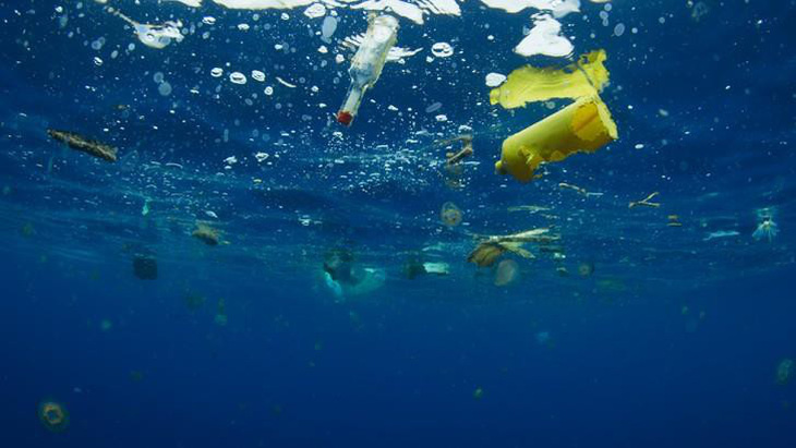 Vì sao động vật biển không thể ngừng ăn rác nhựa? - Ảnh 1.