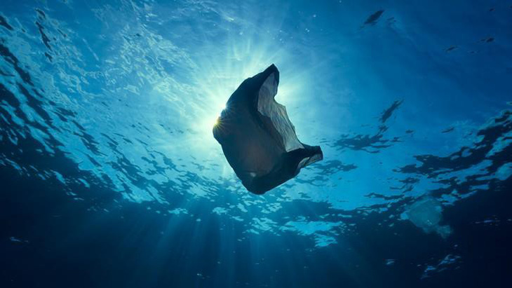Vì sao động vật biển không thể ngừng ăn rác nhựa? - Ảnh 3.