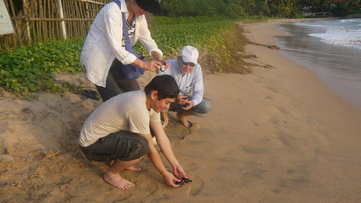 Đi Sri Lanka, Indonesia học bảo tồn rùa biển - Ảnh 3.