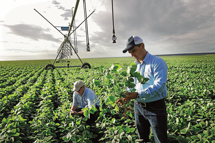 Bayer hoàn tất thương vụ sáp nhập lịch sử trong ngành nông nghiệp toàn cầu - Ảnh 1.