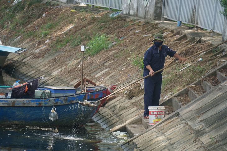 Lại xuất hiện cá chết trên kênh Phú Lộc, Đà Nẵng - Ảnh 1.