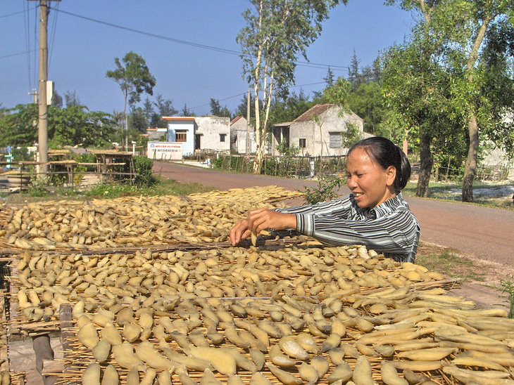 Quảng Bình quê ta ơi, khoai khoai toàn khoai! - Ảnh 1.