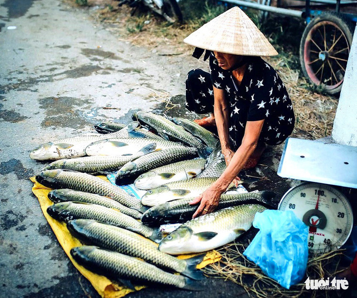 Hàng trăm lồng cá chết vì thủy điện không xả, nước sông Bồ không chảy - Ảnh 2.