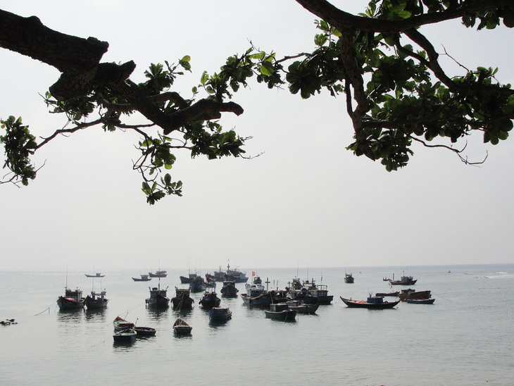 Đầu tư 42 tỉ xây dựng khu bảo tồn biển Lý Sơn - Ảnh 1.