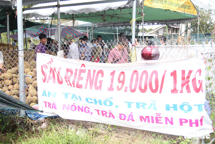 Ùn ùn đi ăn sầu riêng siêu rẻ, chỉ 19.000 đồng/kg - Ảnh 7.
