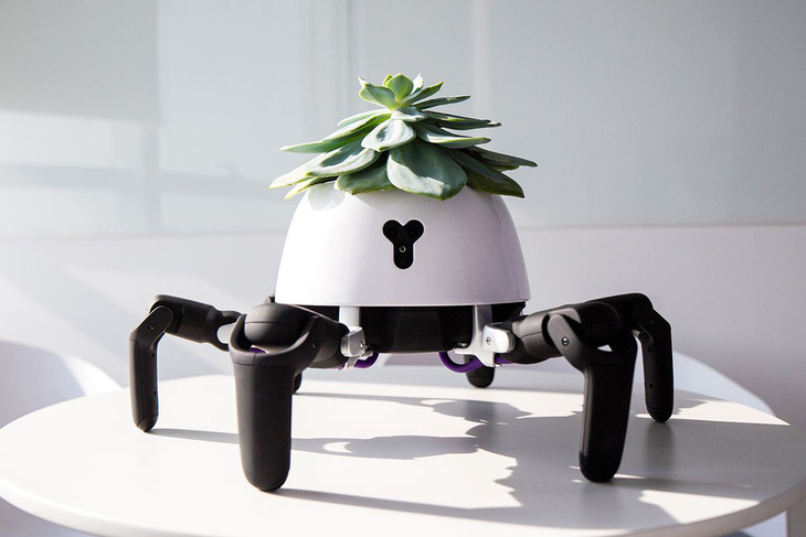 Robot trồng cây có thể tự di chuyển về phía ánh sáng - Ảnh 1.