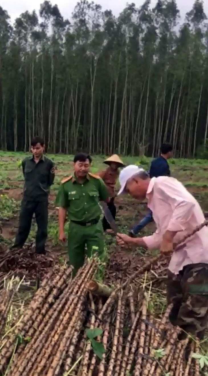 Hàng trăm người chiếm đất lâm trường, Bà Rịa - Vũng Tàu họp khẩn - Ảnh 1.