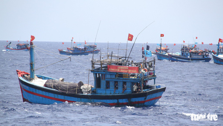 Những ngày Hoàng Sa ở Thọ Quang - Ảnh 1.