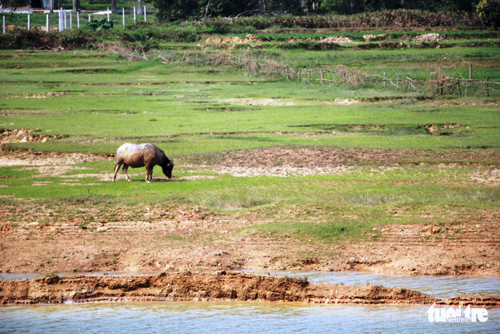 25 hồ Nghệ An xuống mực nước chết, 23.000ha lúa khô hạn - Ảnh 1.