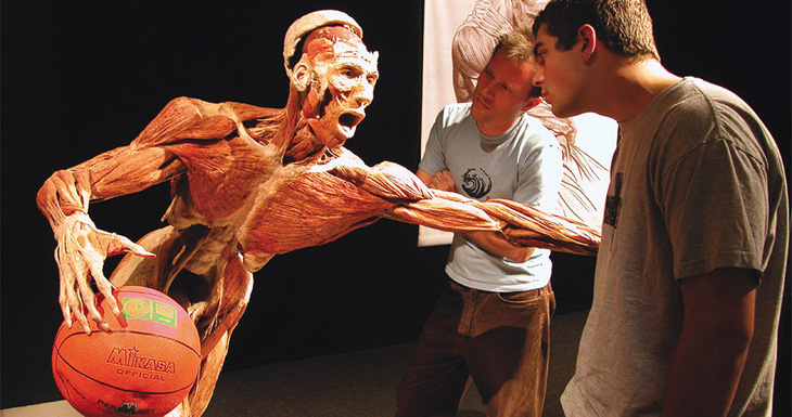 Tranh luận quanh triển lãm về cơ thể và nội tạng người - Ảnh 3.