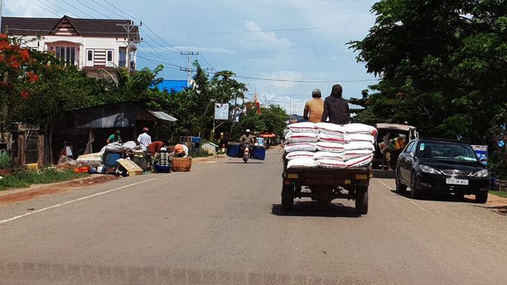 Nông dân trồng mía điêu đứng vì đường lậu hoành hành - Ảnh 2.