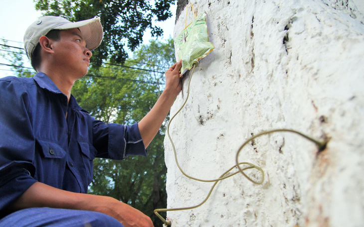 Thăm thành phố cây xanh Trà Vinh, điểm du lịch "chữa lành" ở miền Tây - Ảnh 2.