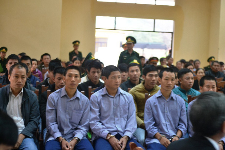 Tòa quân sự xét xử 21 người phá rừng pơ mu ở Quảng Nam - Ảnh 2.