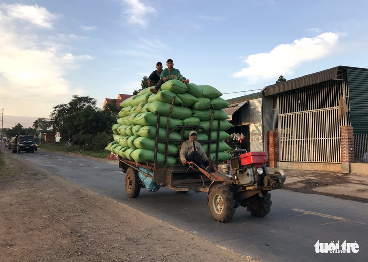 Cảnh sát huyện yêu cầu chủ máy cày nộp phạt định kỳ? - Ảnh 1.