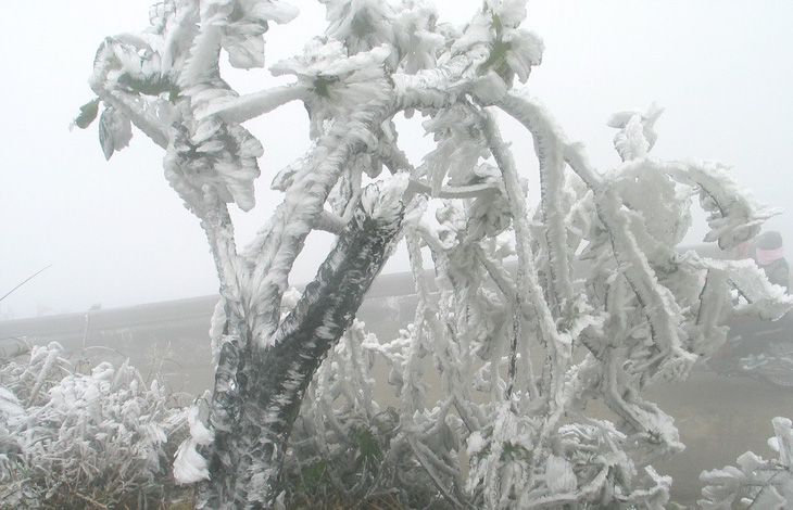 Hà Nội rét dưới 10 độ C, Mẫu Sơn băng giá phủ trắng - Ảnh 6.