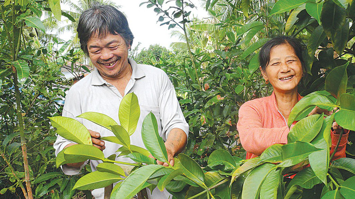 Tình trong gian khó - Ảnh 1.