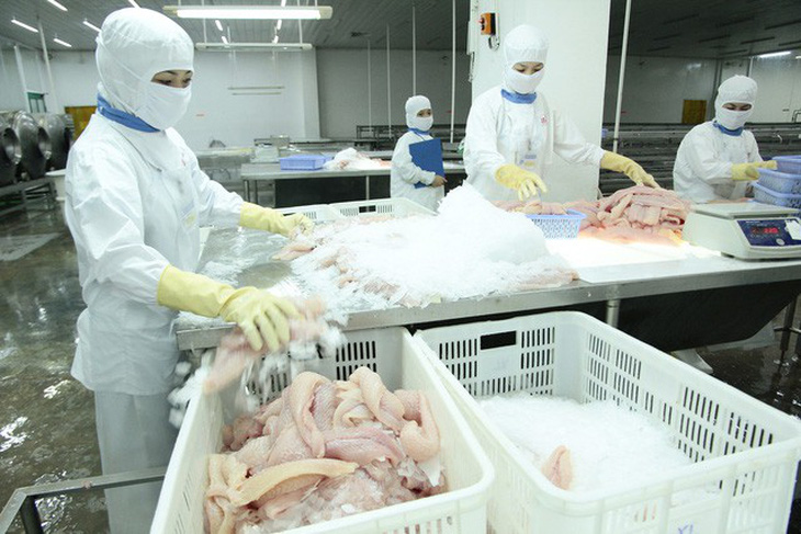 Việt Nam khiếu nại WTO về việc Mỹ áp thuế cá phi lê - Ảnh 1.