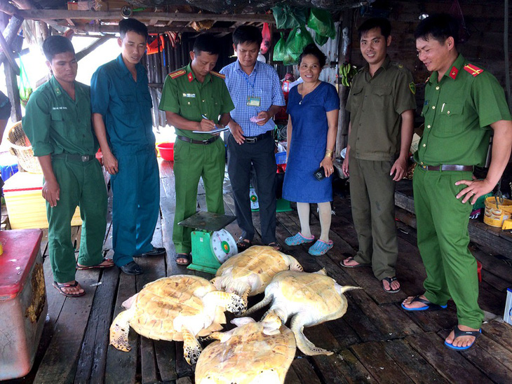 Vận động người dân giao 4 rùa biển thả về đại dương - Ảnh 2.