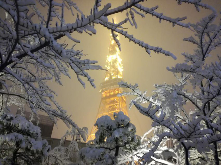 Bão tuyết làm đình trệ giao thông Tokyo - Ảnh 2.