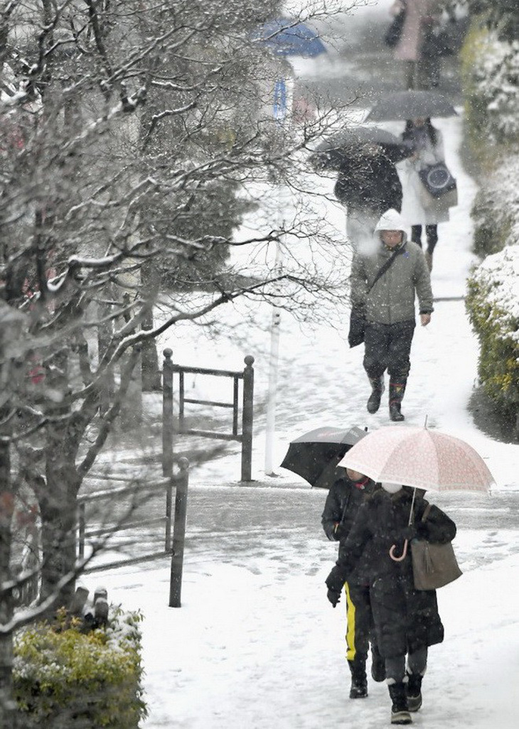 Tuyết dày đặc, nhiều trường học Nhật hoãn kỳ thi đầu vào - Ảnh 3.