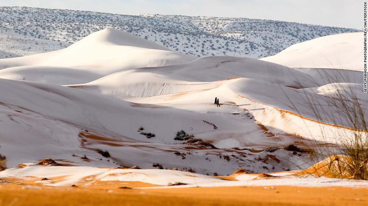 Video tuyết phủ đầy sa mạc nóng nhất thế giới - Ảnh 5.