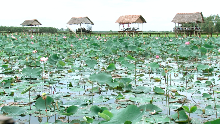Đưa thuyền năng lượng mặt trời, đài ngắm hoa phục vụ du khách - Ảnh 3.