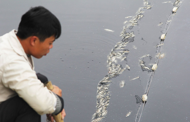 Cá chết trắng gây ô nhiễm hào thành cổ Vinh - Ảnh 7.