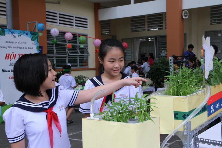 Học sinh tiểu học thiết kế vườn rau sạch trong trường - Ảnh 1.