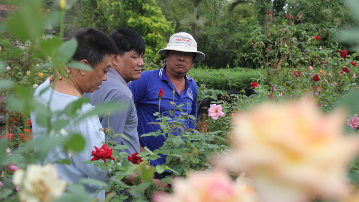Thăng trầm làng hoa Sa Đéc - Kỳ 3: Chuyện về vườn hồng Tư Tôn - Ảnh 2.