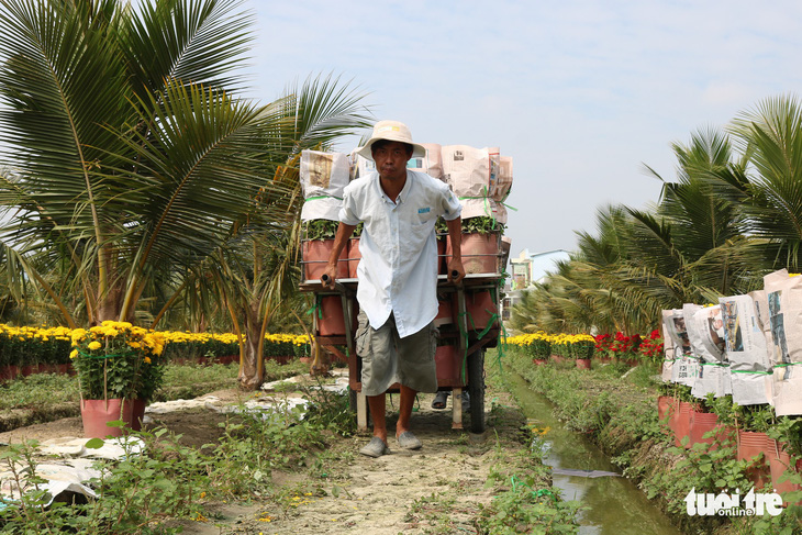 Hàng triệu giỏ hoa Mỹ Tho đang đổ về Sài Gòn, Bình Dương, Tây Ninh... - Ảnh 5.