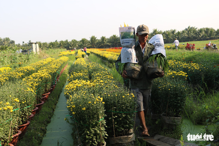 Hàng triệu giỏ hoa Mỹ Tho đang đổ về Sài Gòn, Bình Dương, Tây Ninh... - Ảnh 4.