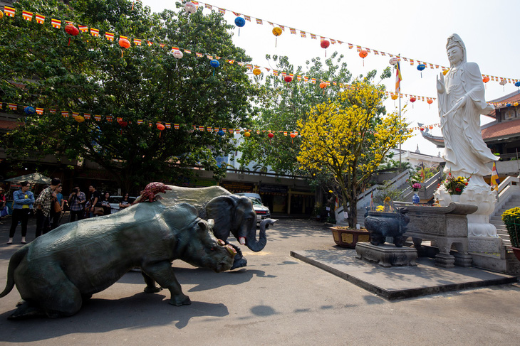 Tê giác, voi quỳ kêu cứu ở sân chùa Vĩnh Nghiêm, Minh Đăng Quang - Ảnh 2.