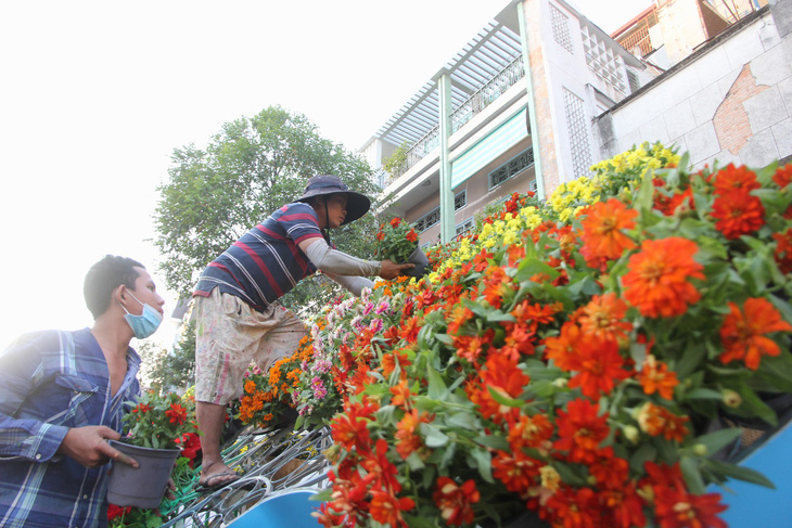 Xem vuông, tròn tại đường hoa nghệ thuật Cần Thơ - Ảnh 11.